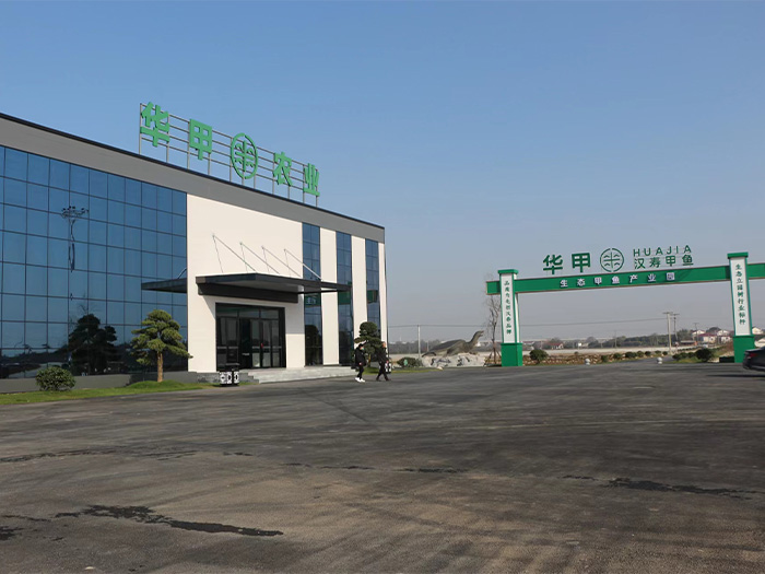 华甲农业集团：科技创新推动甲鱼产业升级